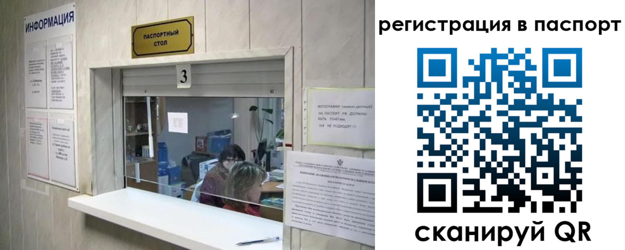 прописка поиск в Шумихе